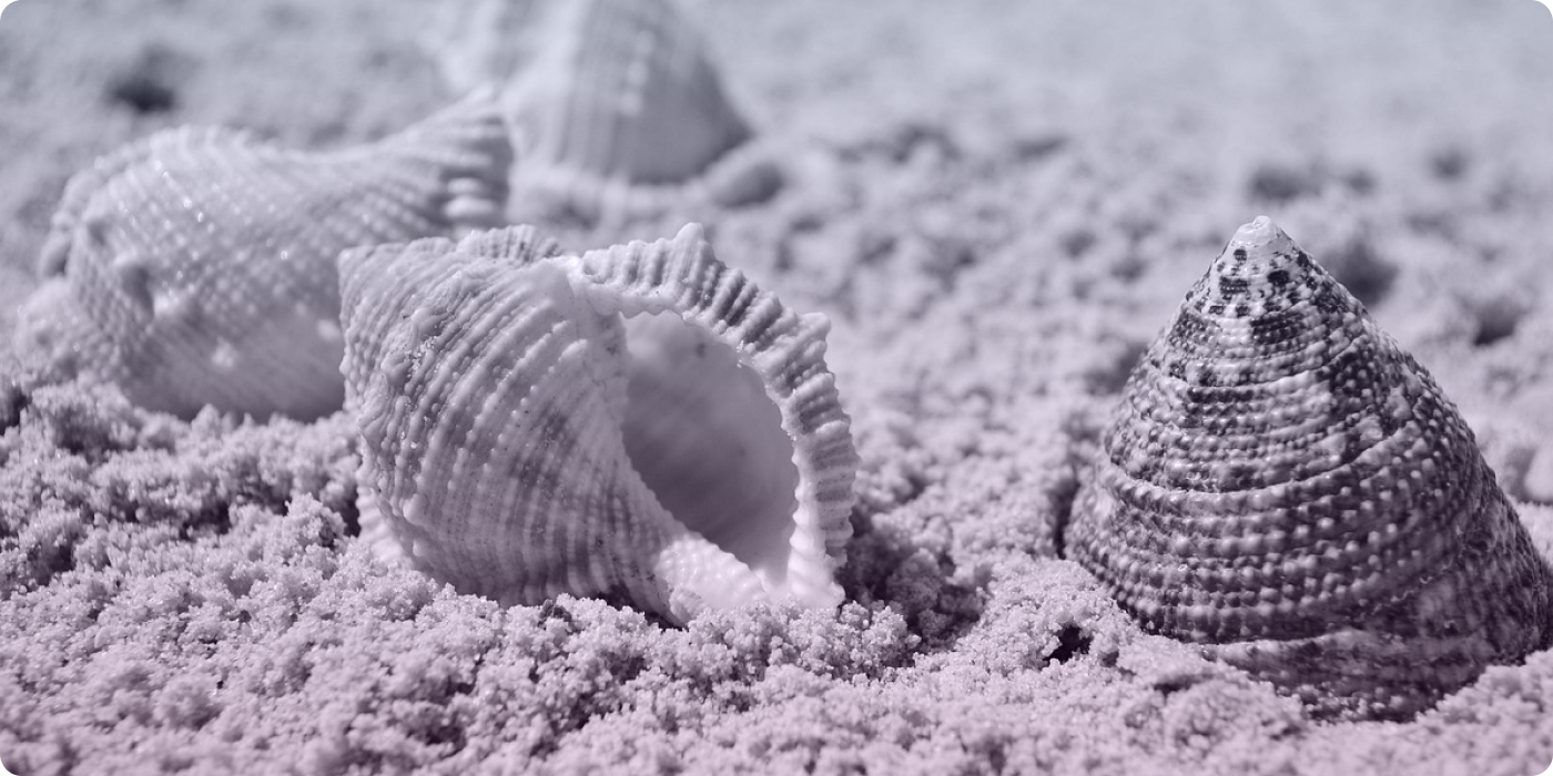 summer marketing ideas