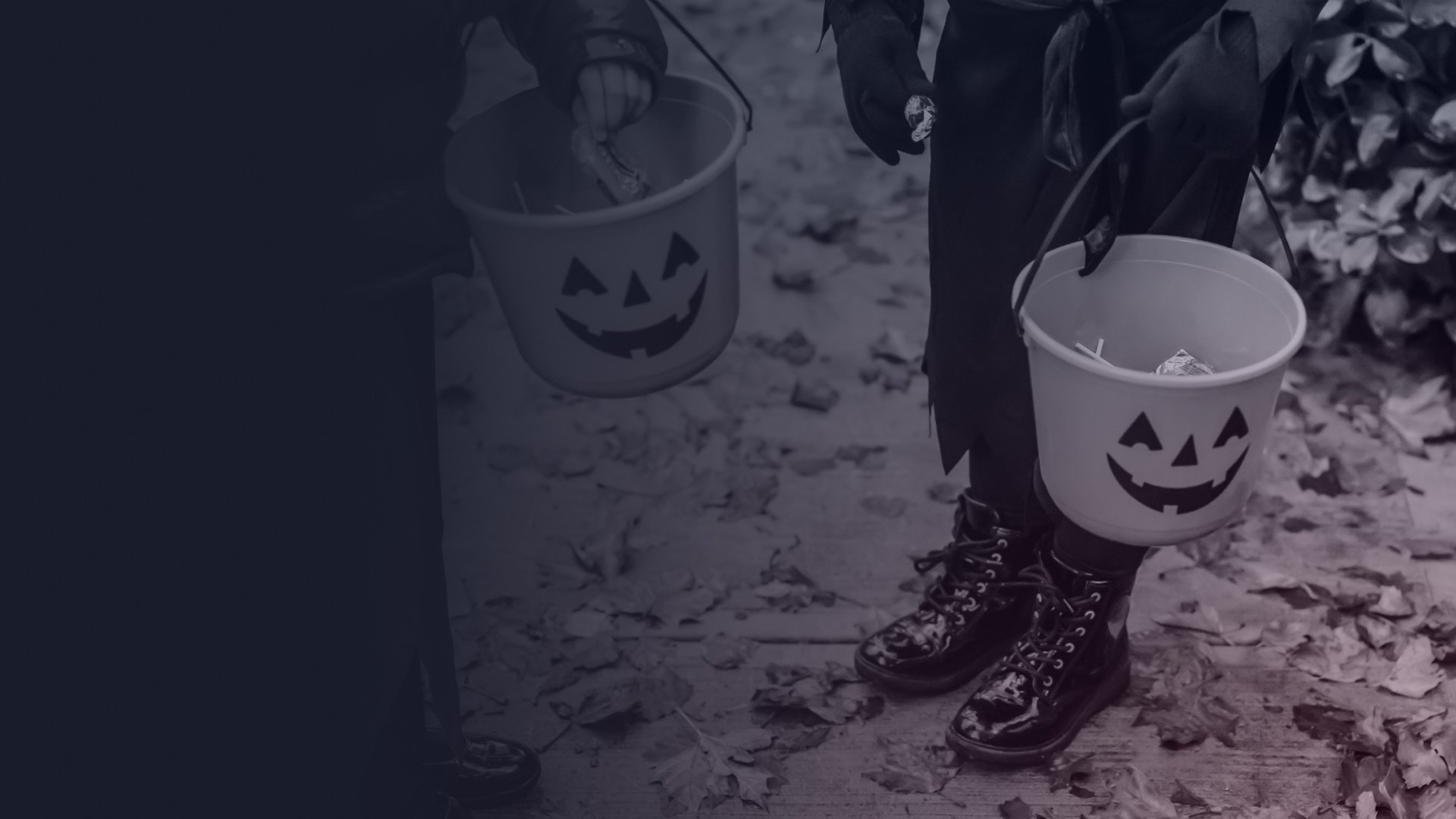 Bring on the spook: Seedtag Halloween Insights