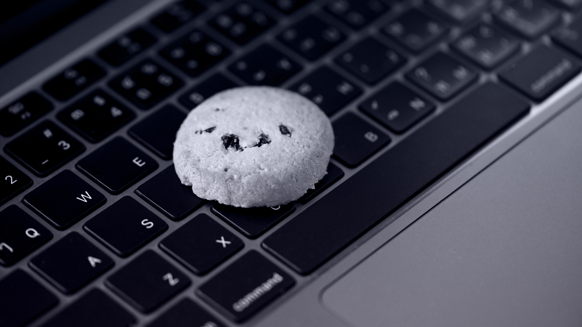 What does the cookieless future mean for brands?
