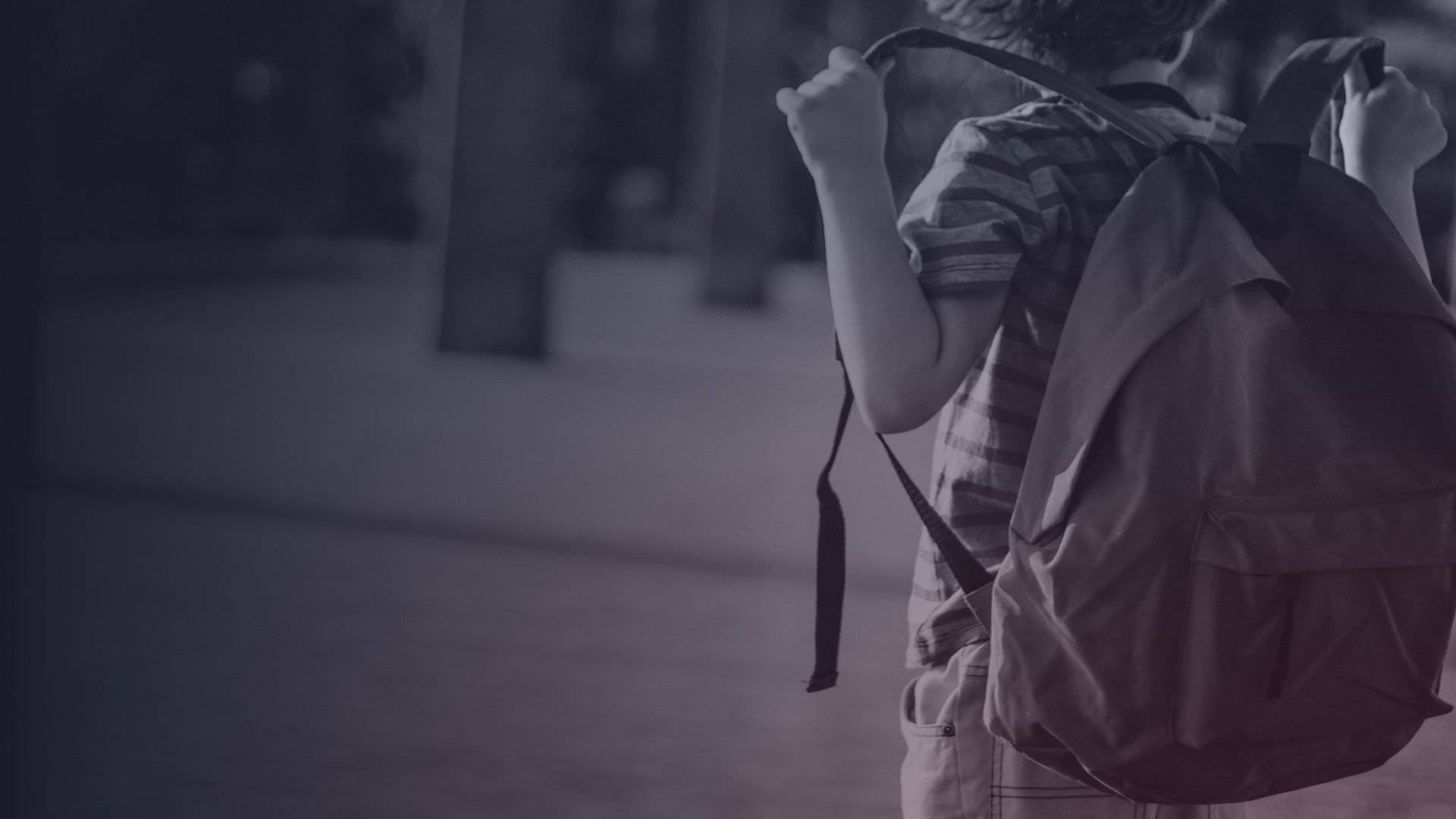 Back to School: The main areas of audience interest during the season